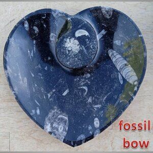 fossil bowl 01 crystal rock stone